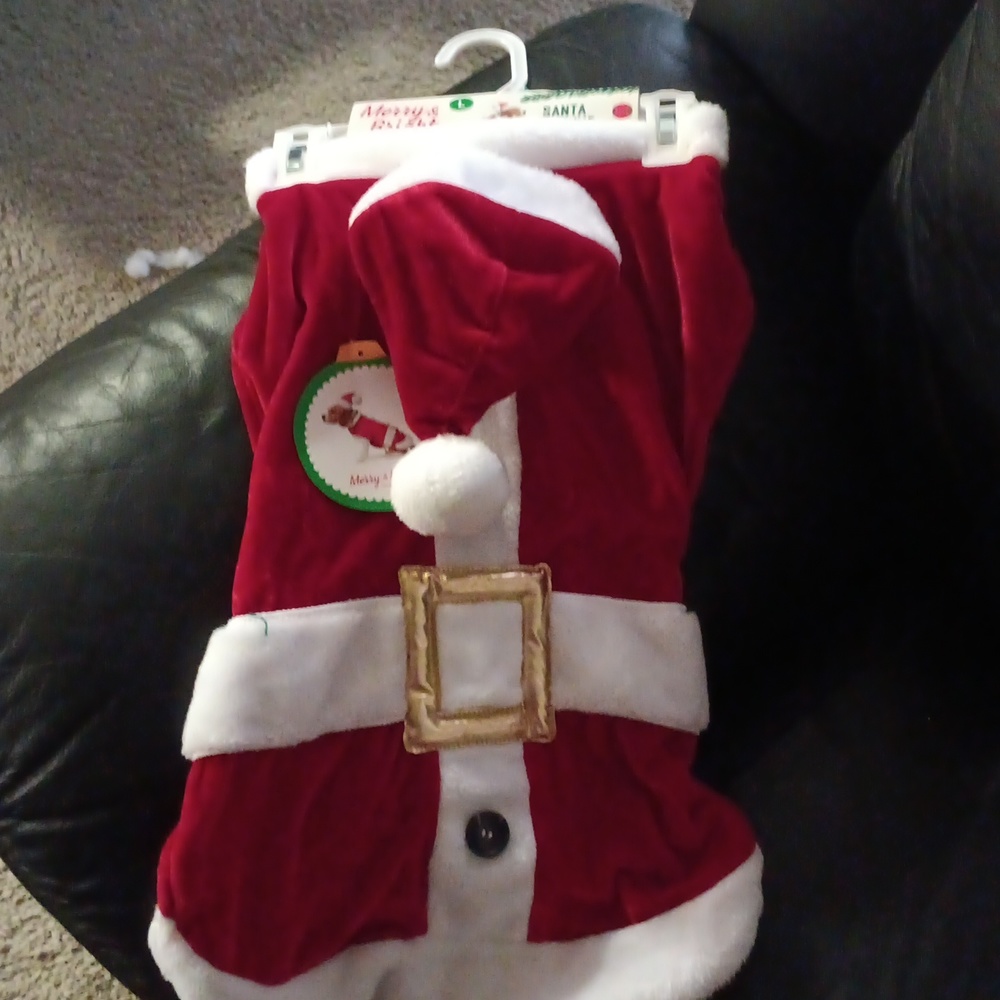 Dog Santa suit